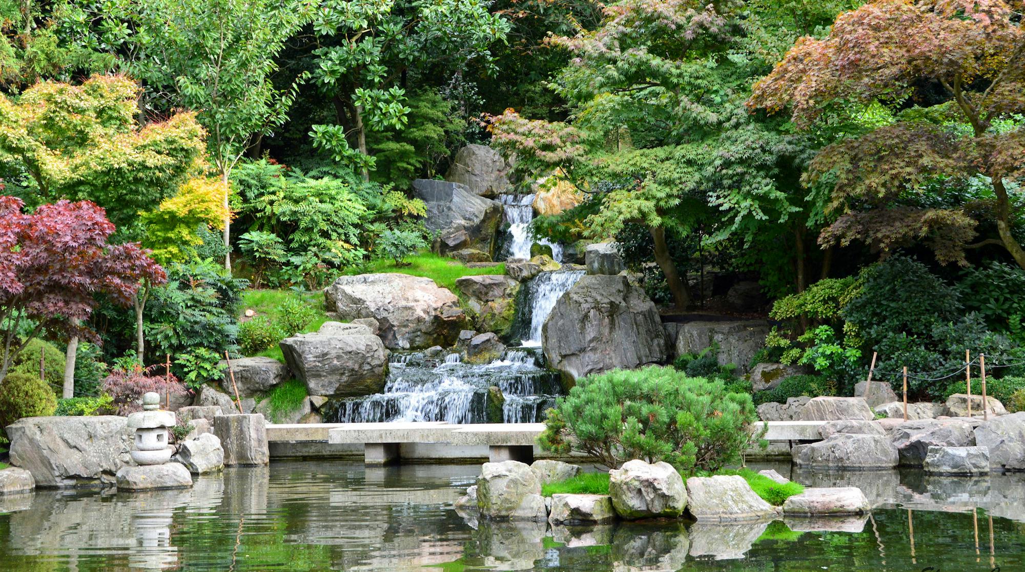 Kyoto gardens in Notting Hill are one of the best places to go to catch a glimpse of green and of a lovely japanese style garden